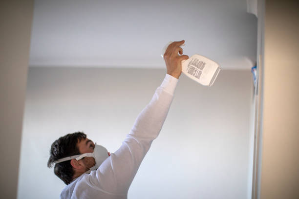 Best Certified Mold Removal  in Wichita Falls, TX