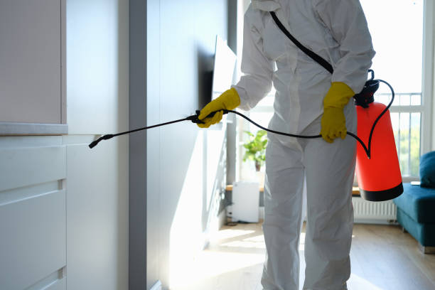 Best Mold Cleaning Services  in Wichita Falls, TX