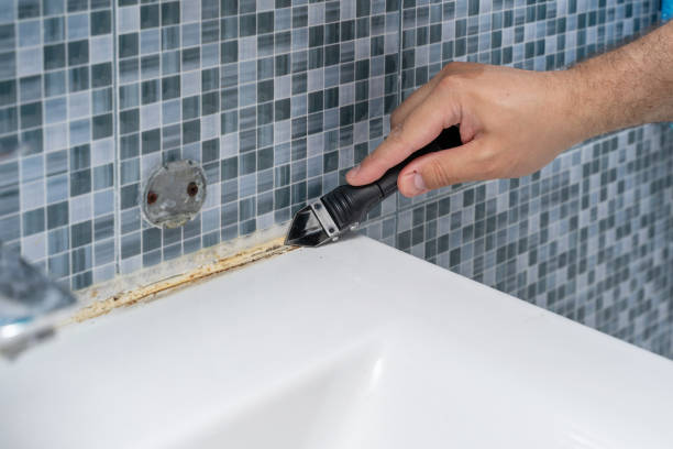 Best Emergency Mold Removal  in Wichita Falls, TX