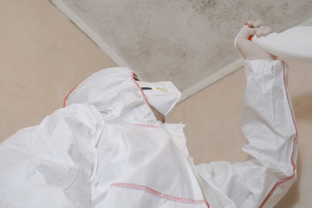 Water Damage Restoration in Wichita Falls, TX